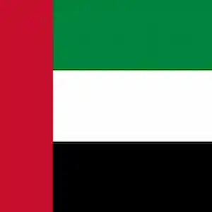 dubai flag