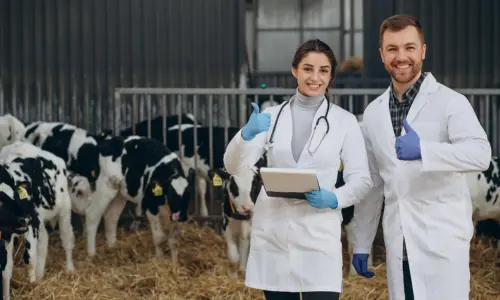 Agriculture and veterinary medicine