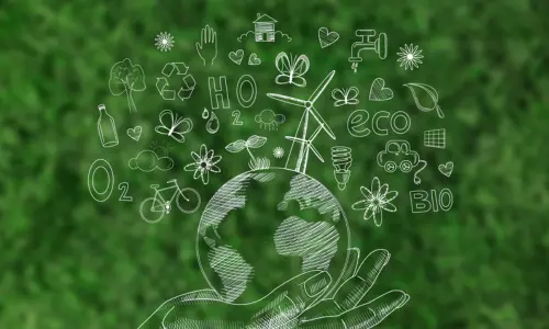 Environment and sustainability