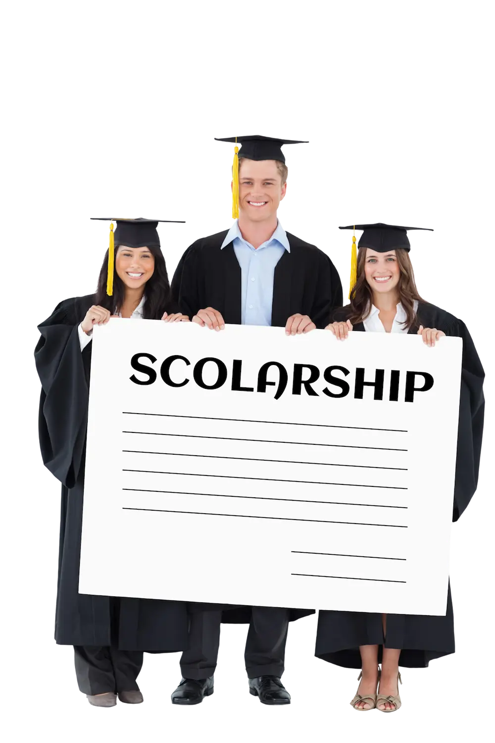 Study in New Zealand with Scholarship